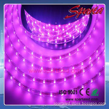 Building decoration led christmas strip light 5050